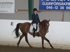 20080406_121952 Catrin Lindh Tiphonia